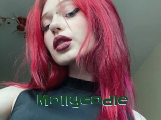 Mollycodle