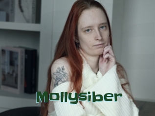 Mollysiber