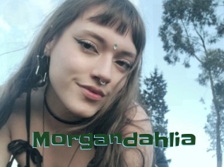 Morgandahlia