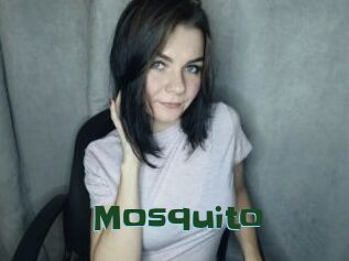 Mosquito