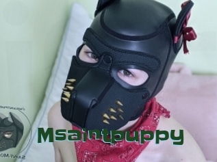 Msaintpuppy