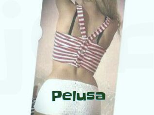 Pelusa