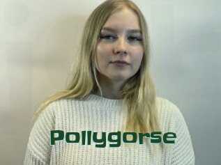 Pollygorse