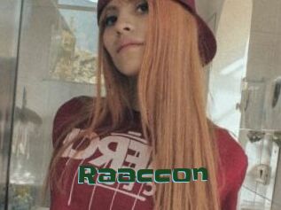 Raaccon