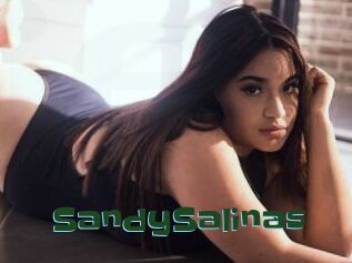 SandySalinas