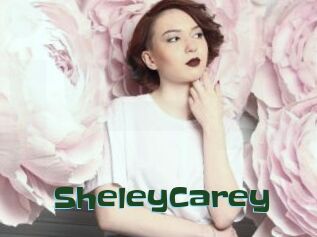 SheleyCarey