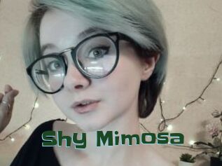 Shy_Mimosa