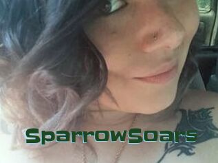 SparrowSoars