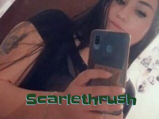 Scarlethrush