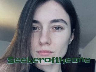 Seekeroftheone