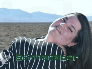 Seinnasaber