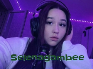 Selenagambee