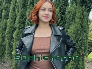 Sophicherrie