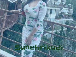 Sunehrikudi