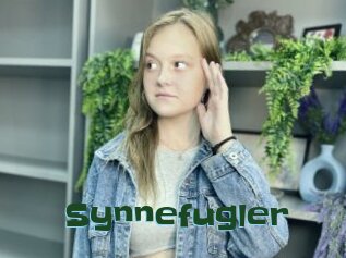 Synnefugler