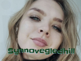 Synnovegledhill