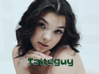 Taiteguy