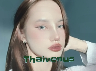 Thaivenus