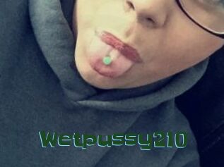 Wetpussy210