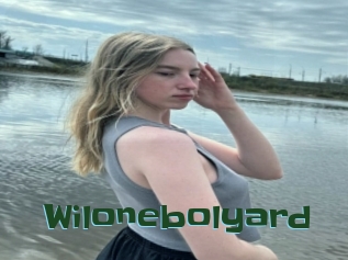 Wilonebolyard