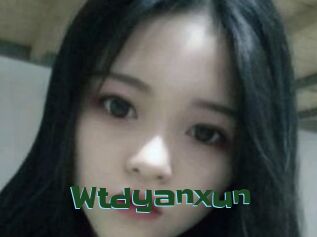 Wtdyanxun