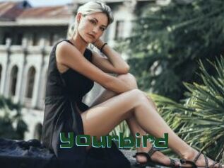 Yourbird